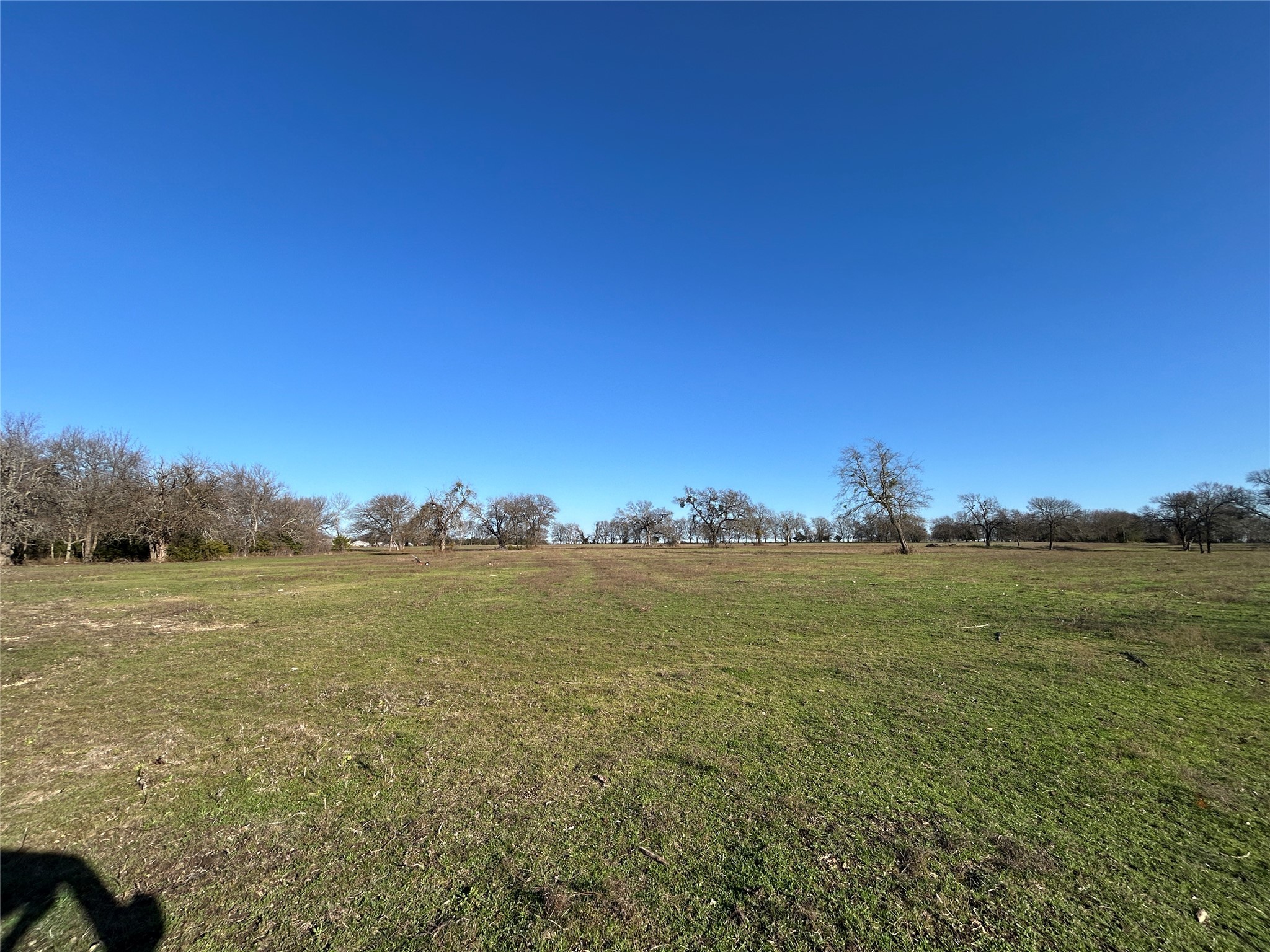 TBD TX-160