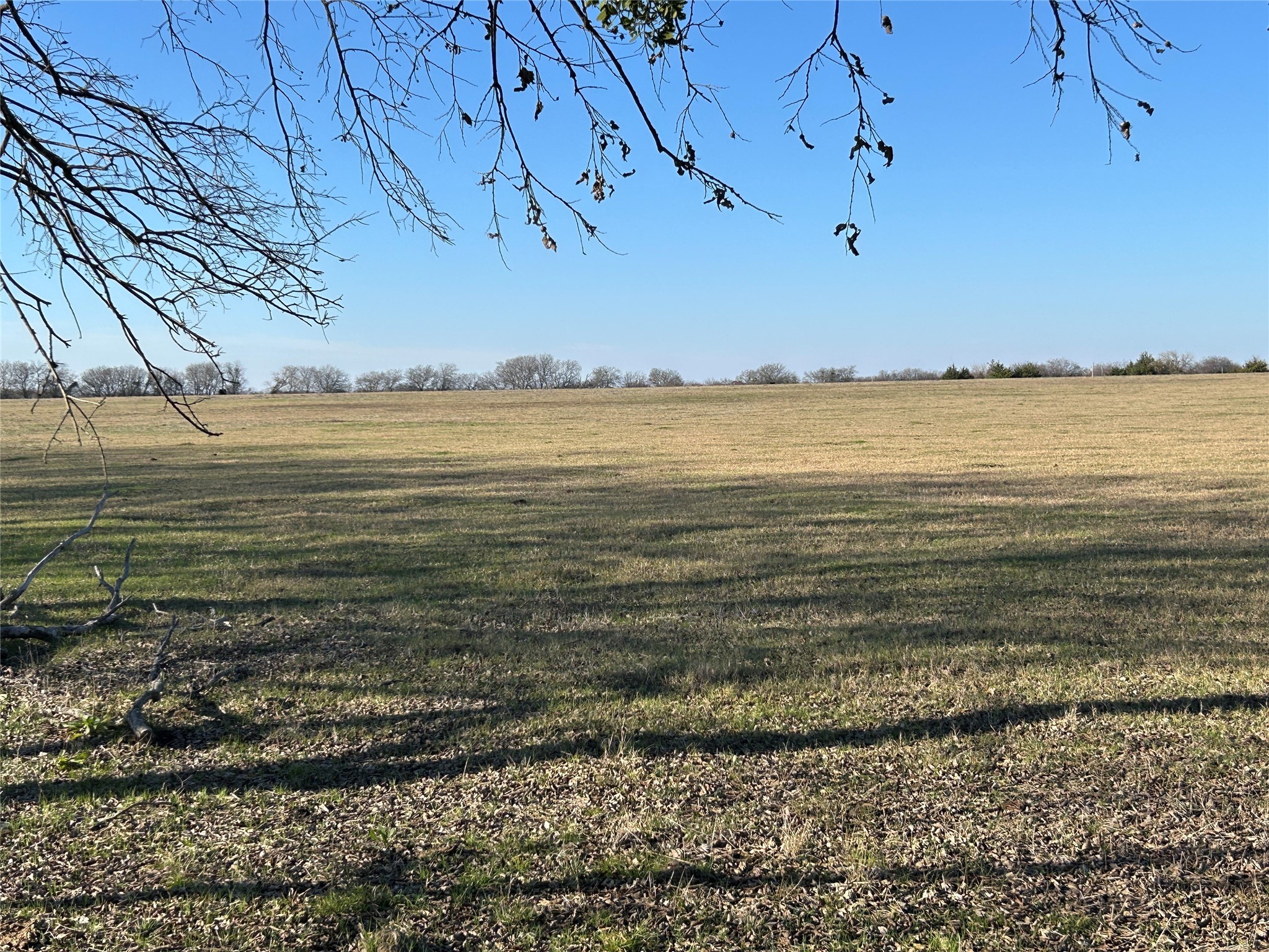 TBD TX-160