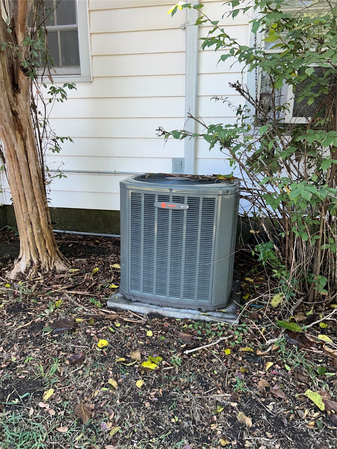 3435 Poinsettia Drive