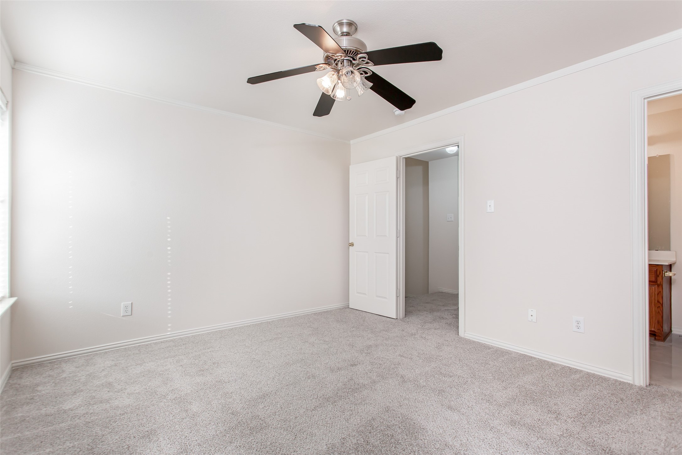 915 Falcon Trail