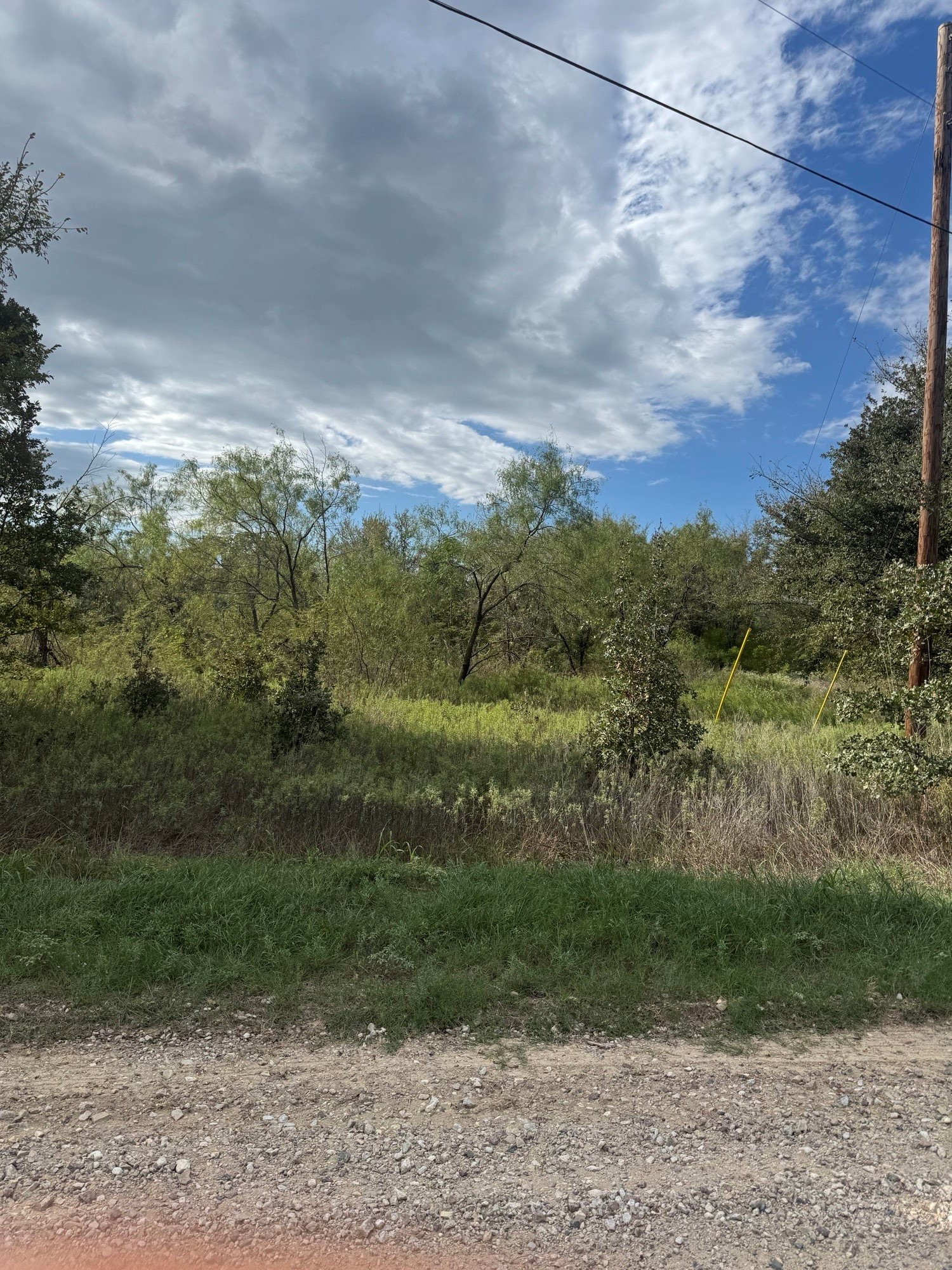 Lot 12 FM 3136