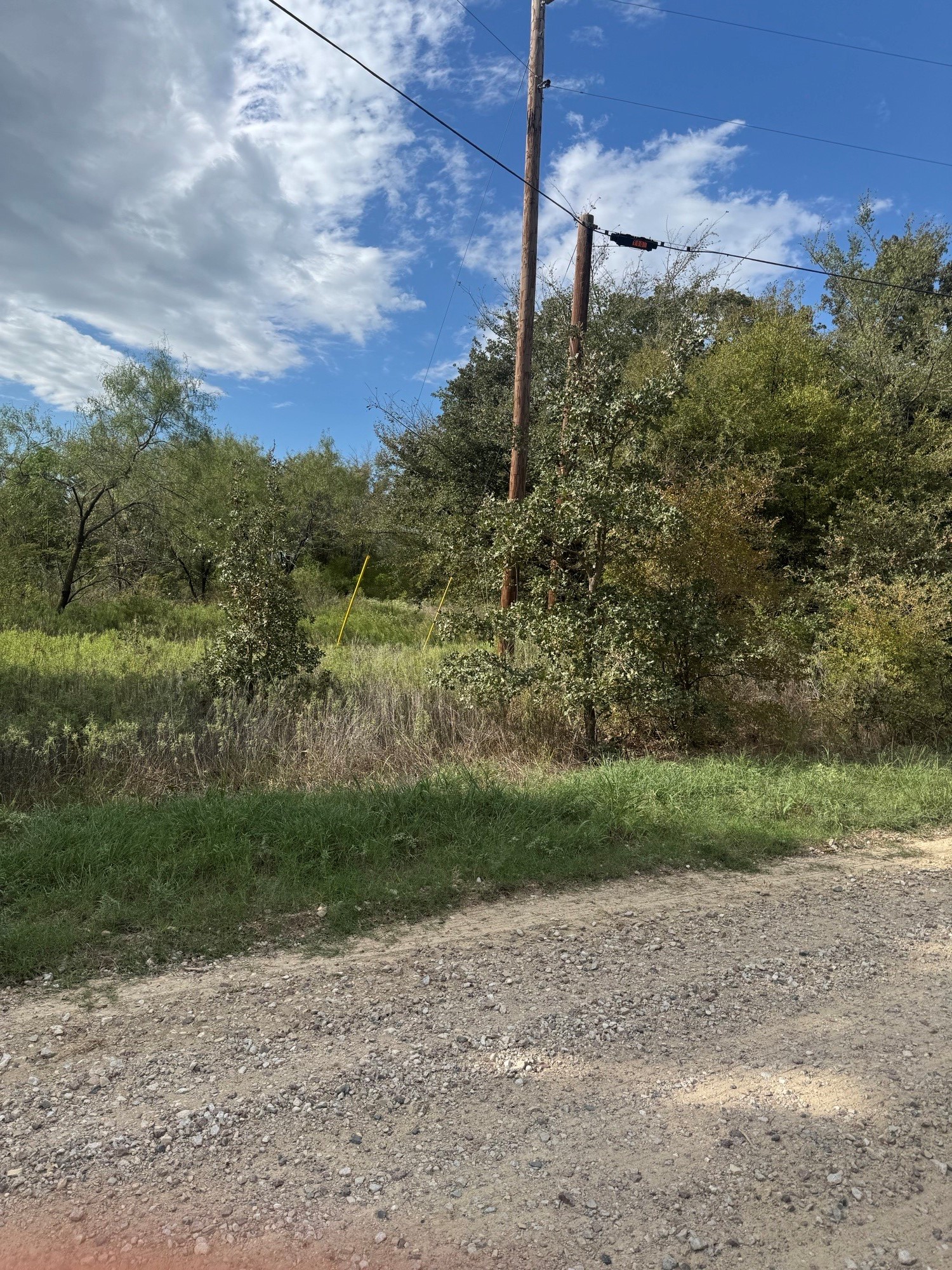 Lot 12 FM 3136