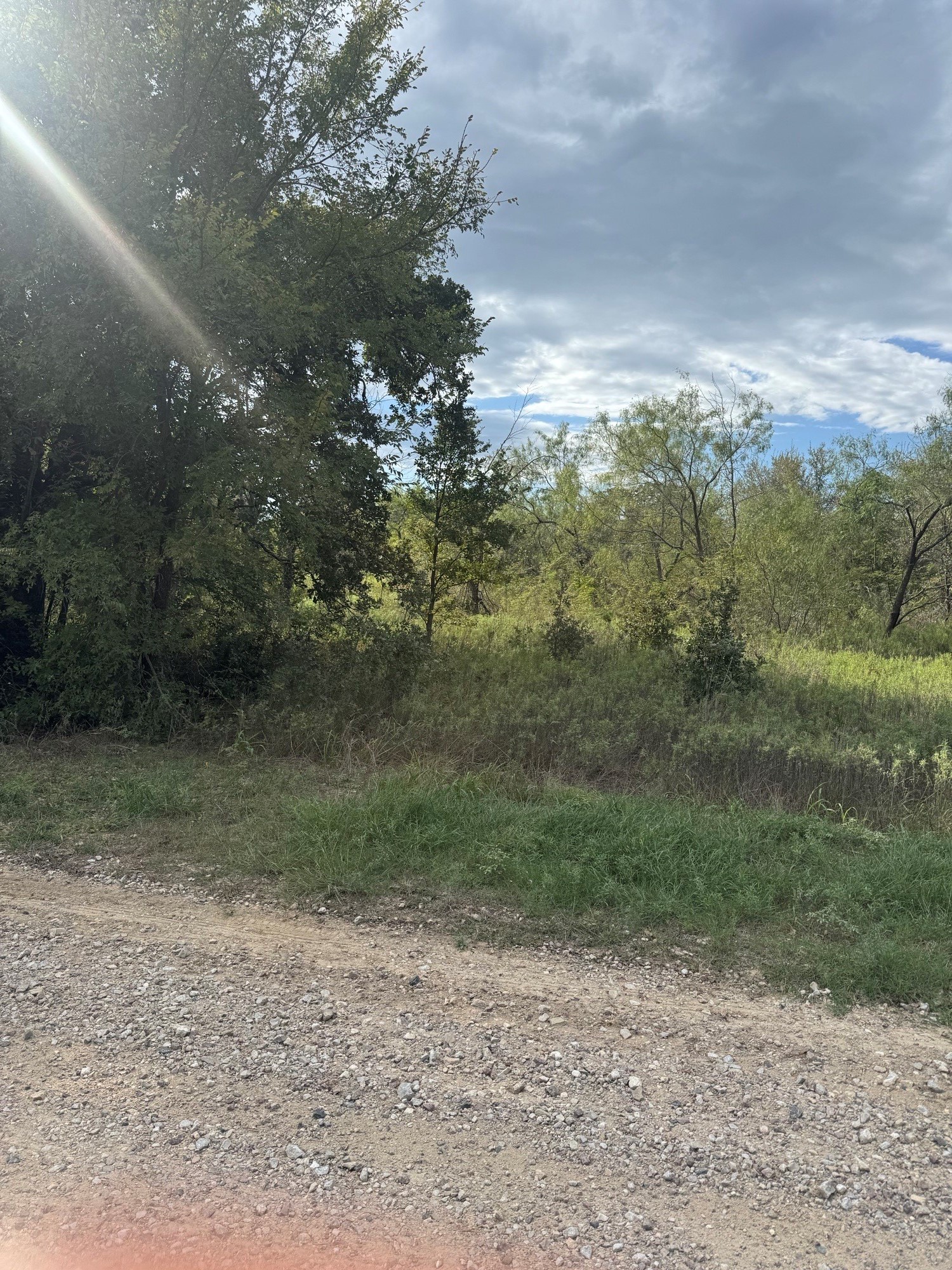 Lot 12 FM 3136