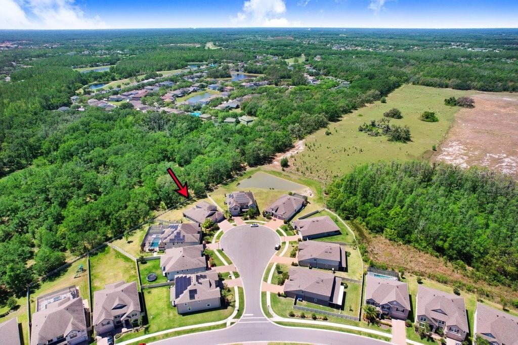 10703 MORNING DEW WAY