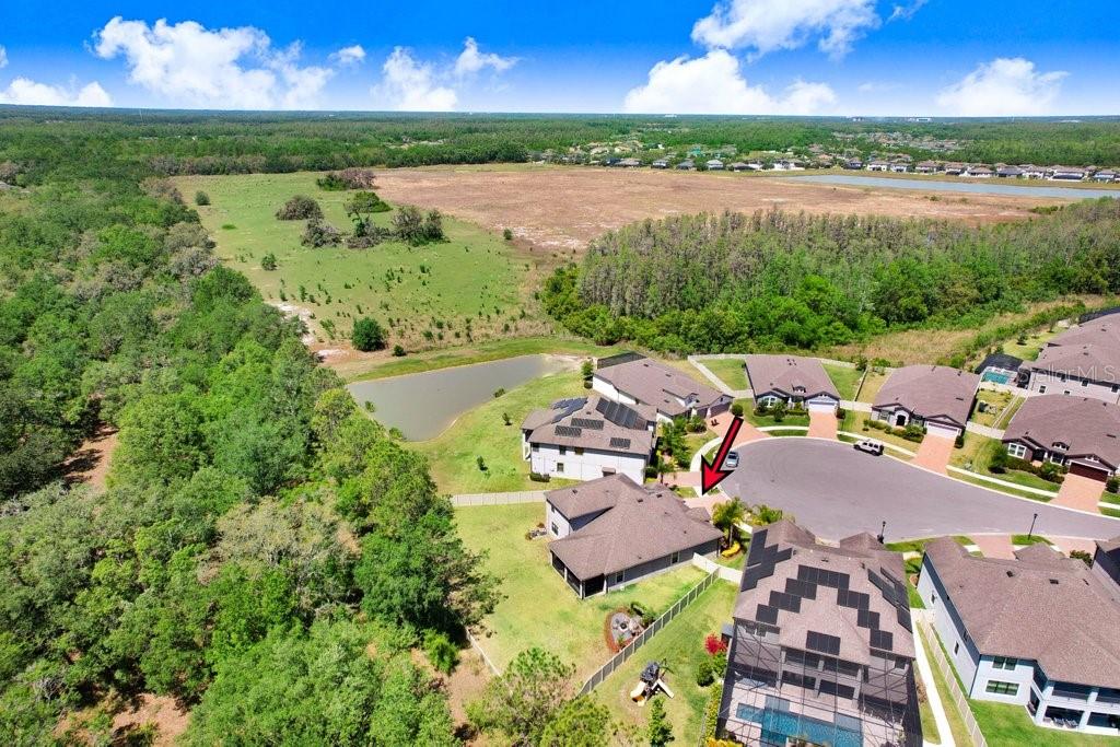 10703 MORNING DEW WAY