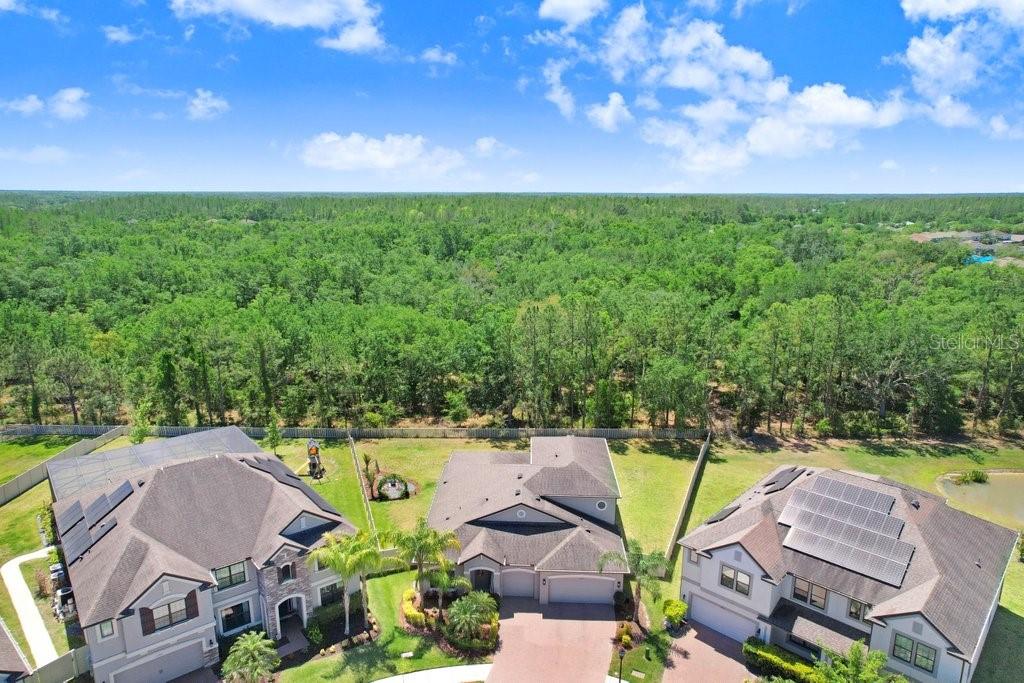 10703 MORNING DEW WAY