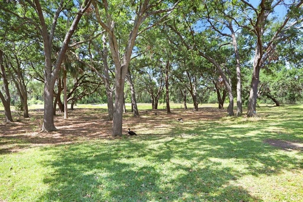 2418 LAKE WOODBERRY CIR