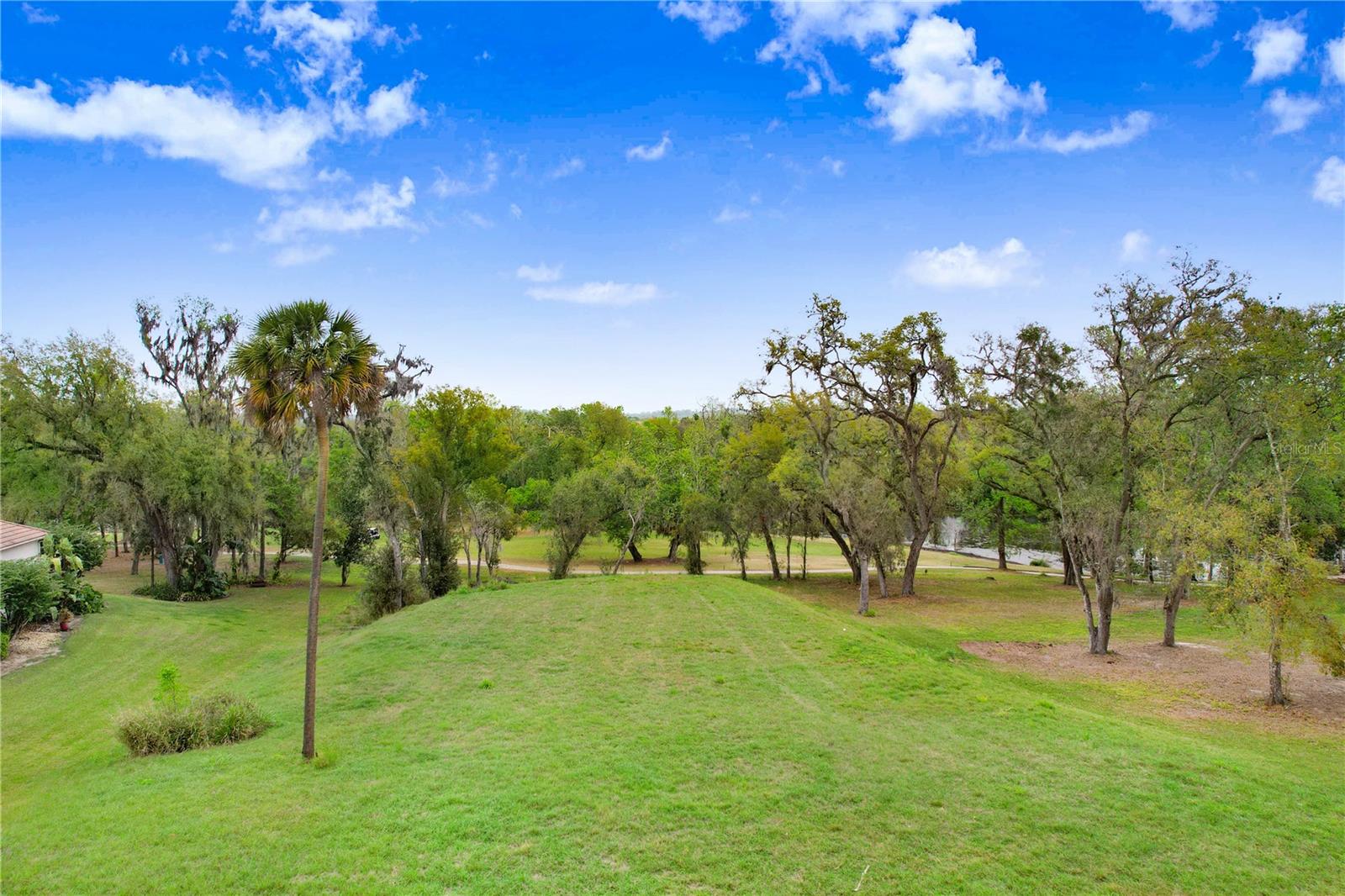 13619 CARNOUSTIE CIR