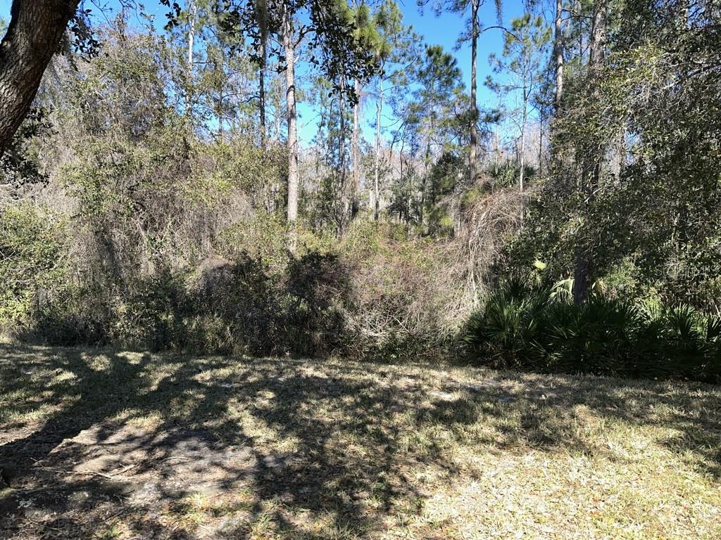 3450 CHAPEL CREEK CIR