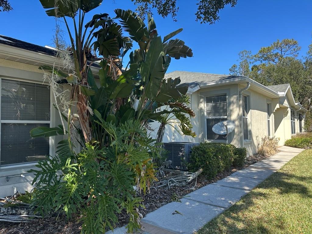 3450 CHAPEL CREEK CIR