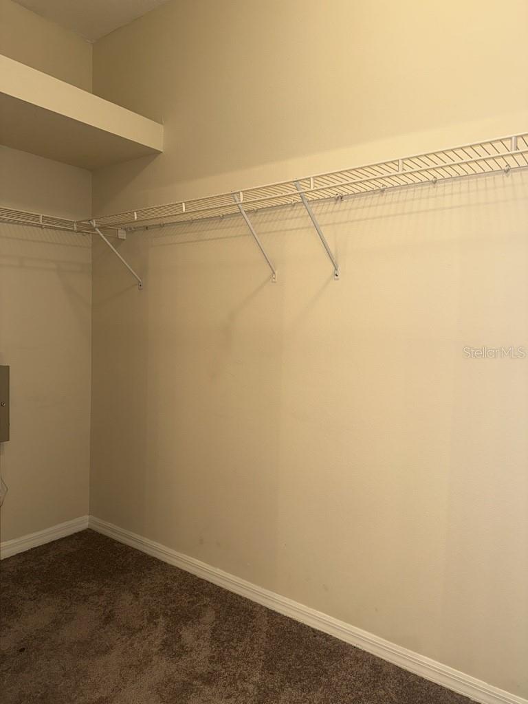 3450 CHAPEL CREEK CIR