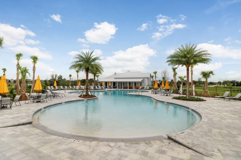 32978 TULIP PETAL LN