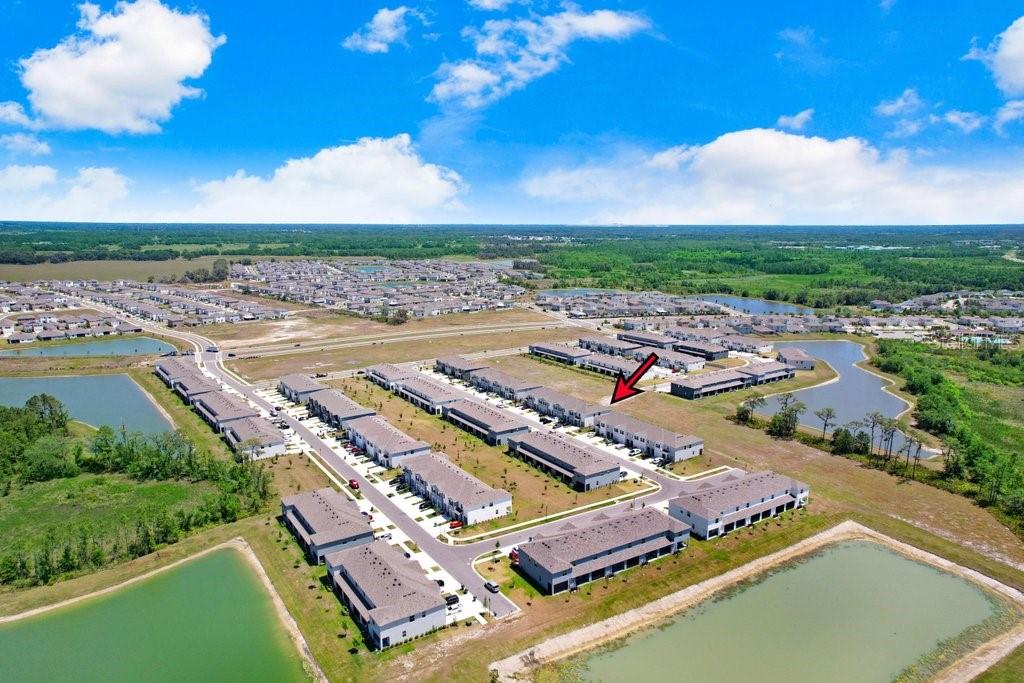 32978 TULIP PETAL LN