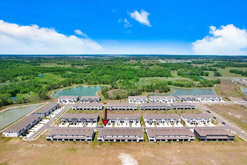 32978 TULIP PETAL LN