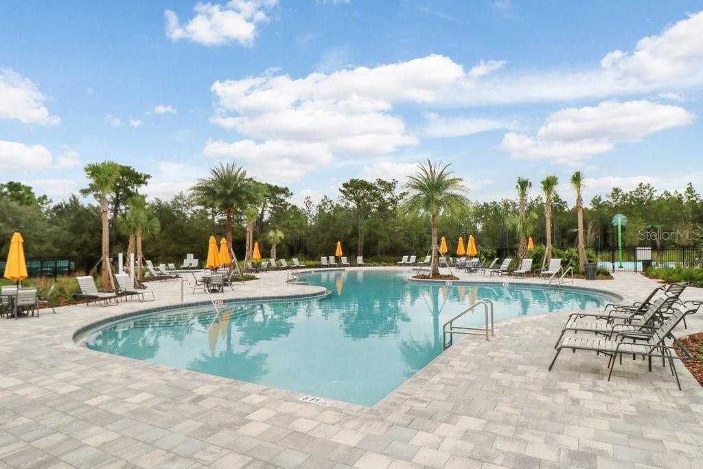 32978 TULIP PETAL LN