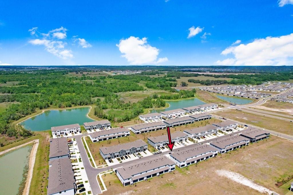 32978 TULIP PETAL LN