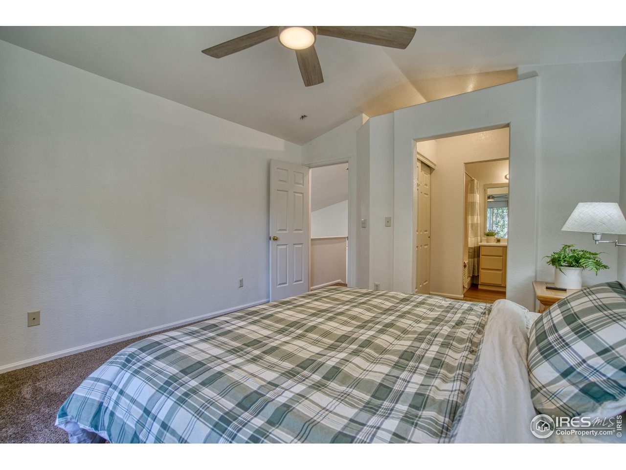 802 Timothy Dr