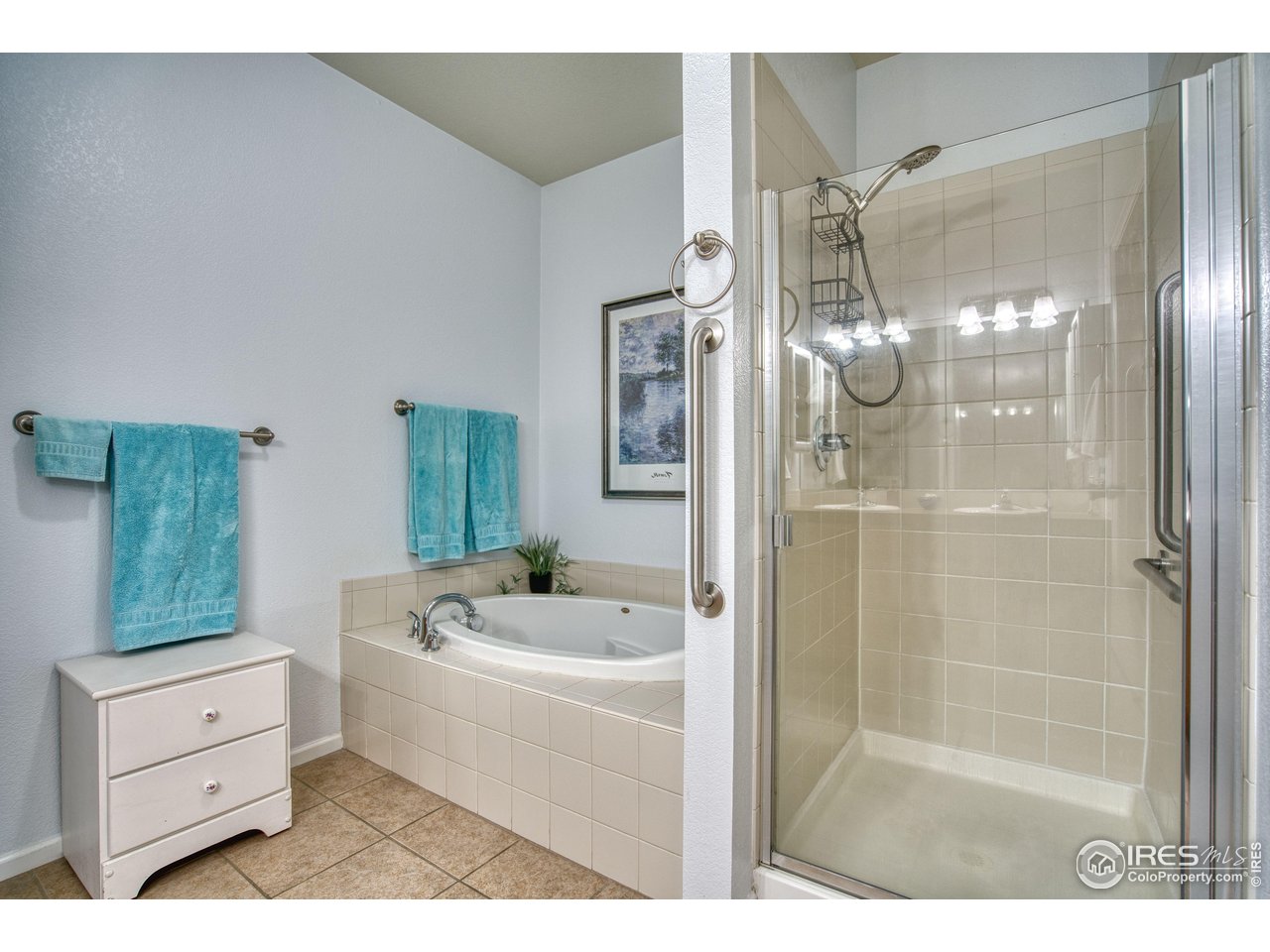 10818 Cimarron St 1203