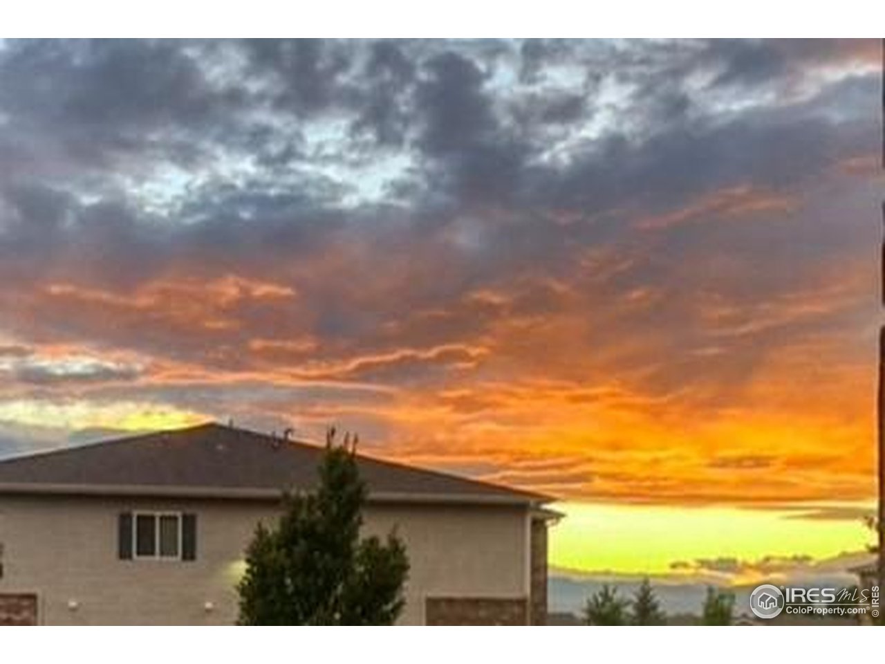 10818 Cimarron St 1203