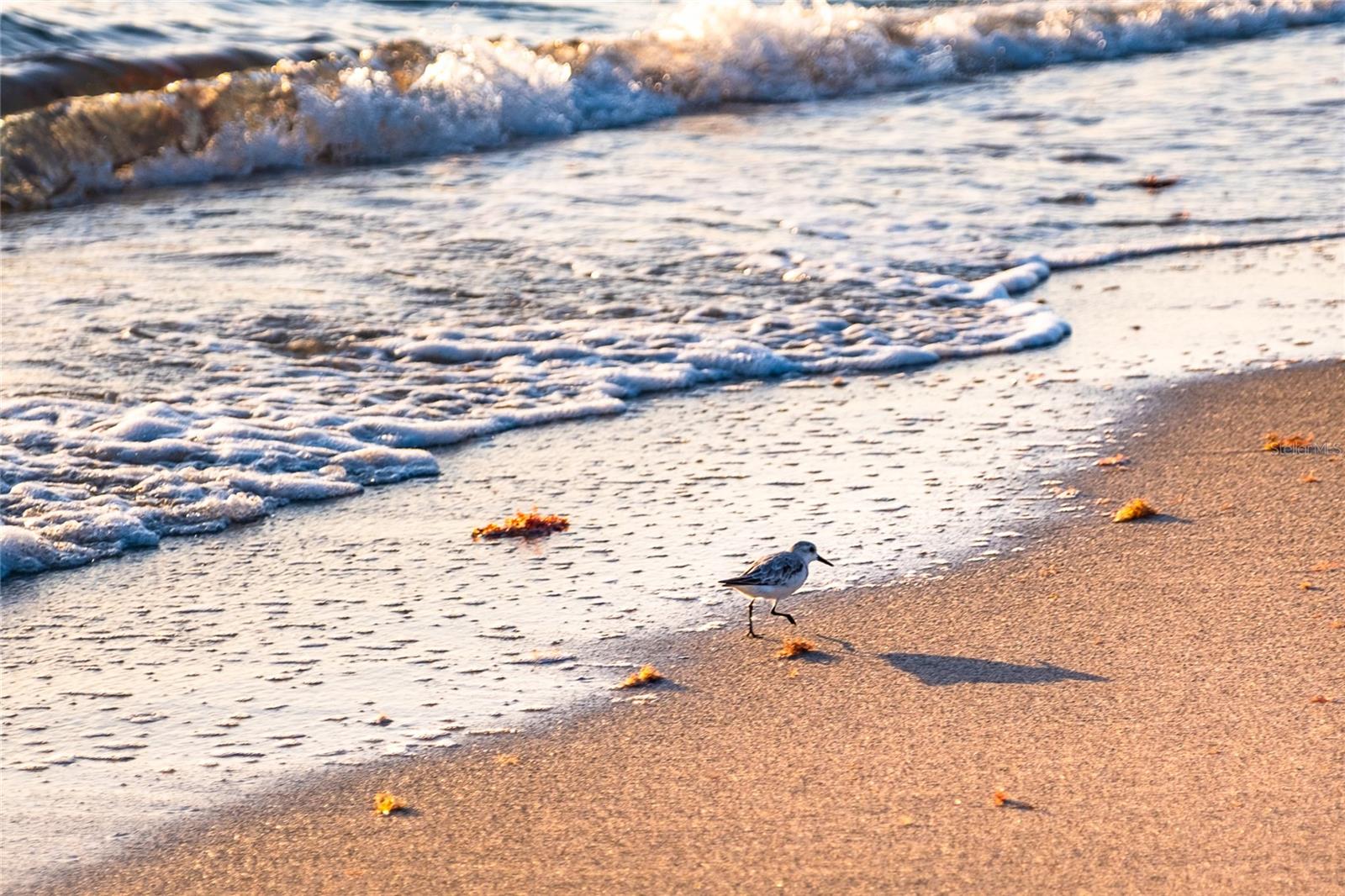 4074 N BEACH RD #CTG5