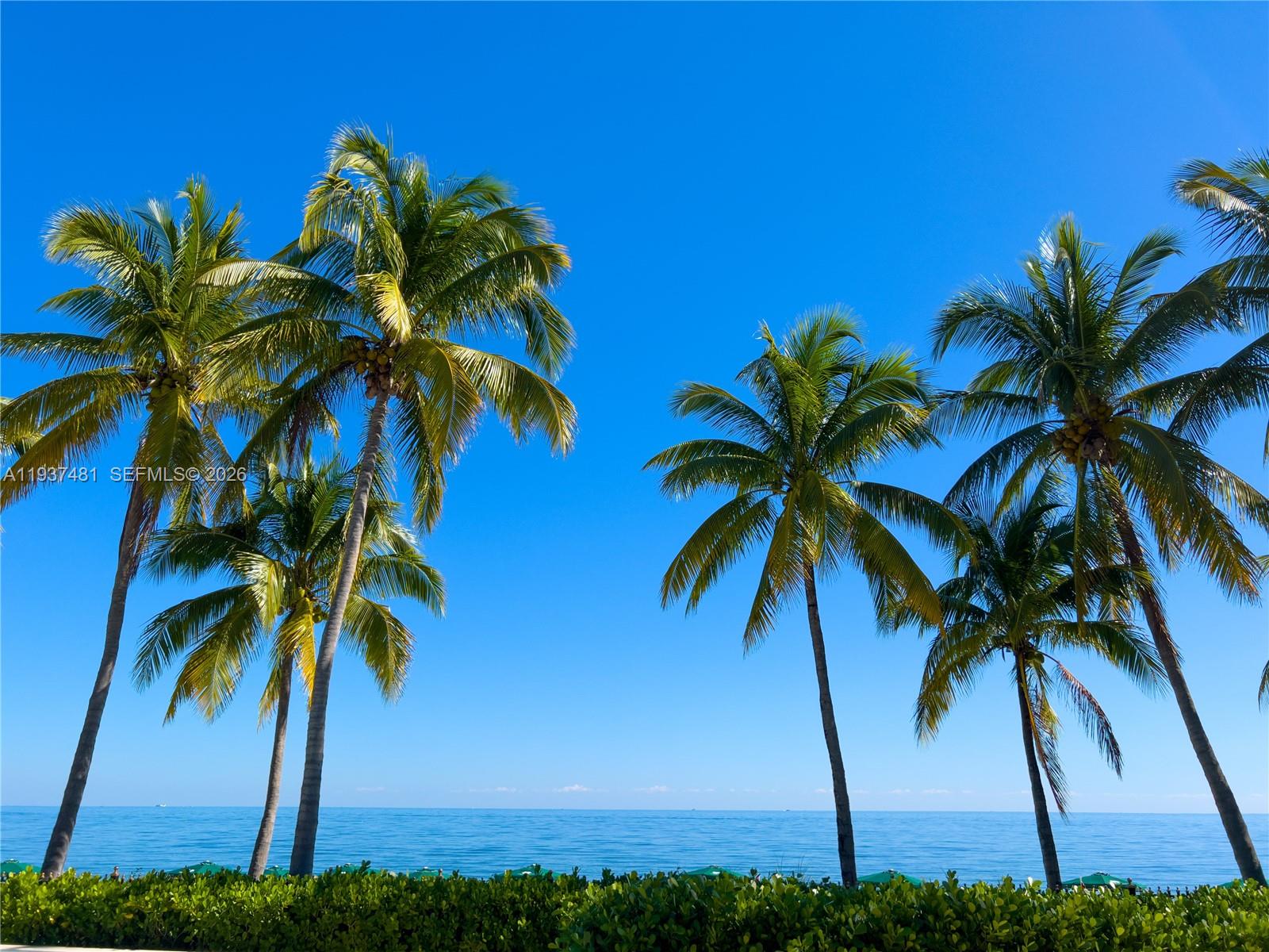 781 Crandon Blvd # 804