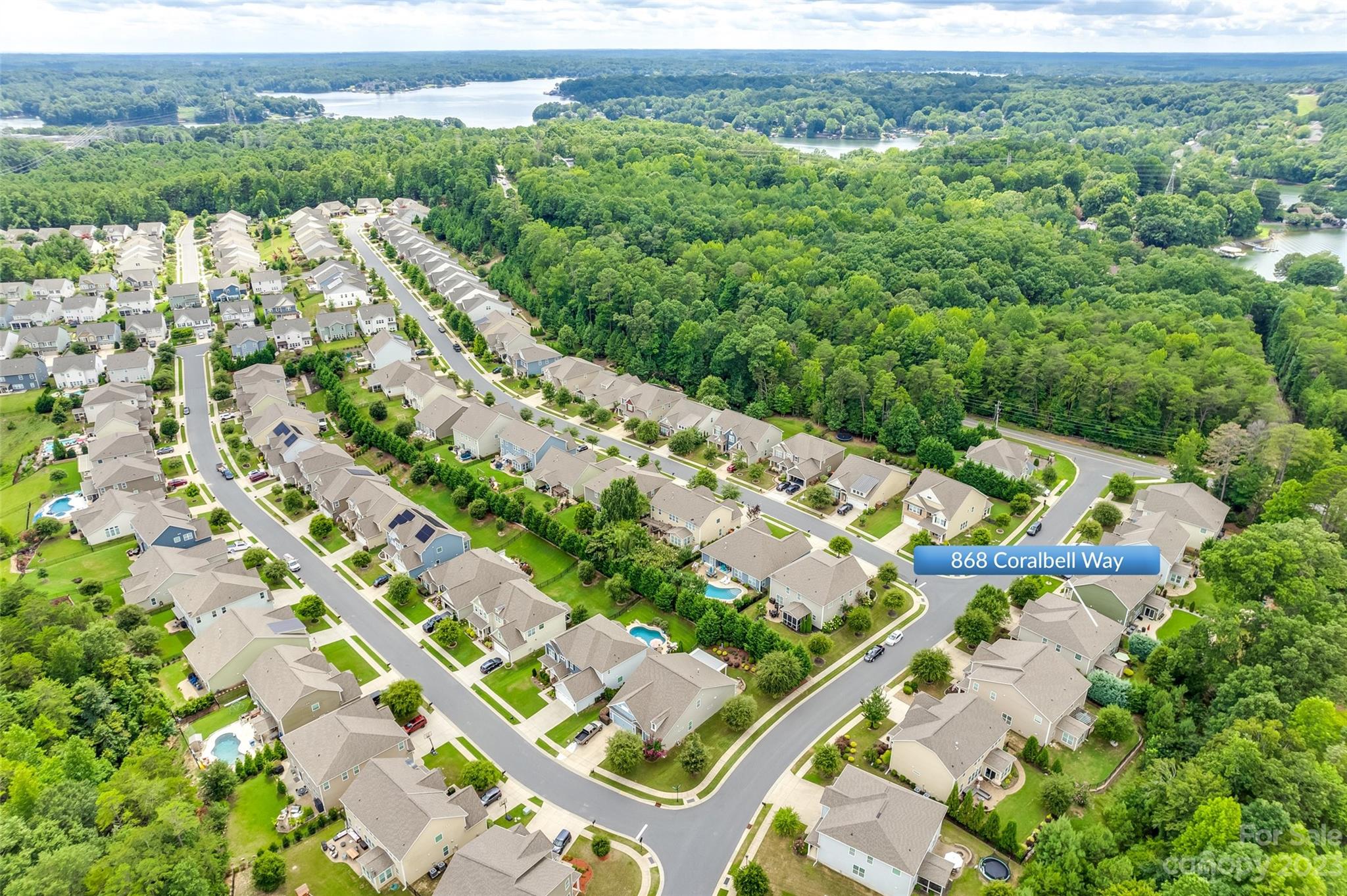 868 Coralbell Way