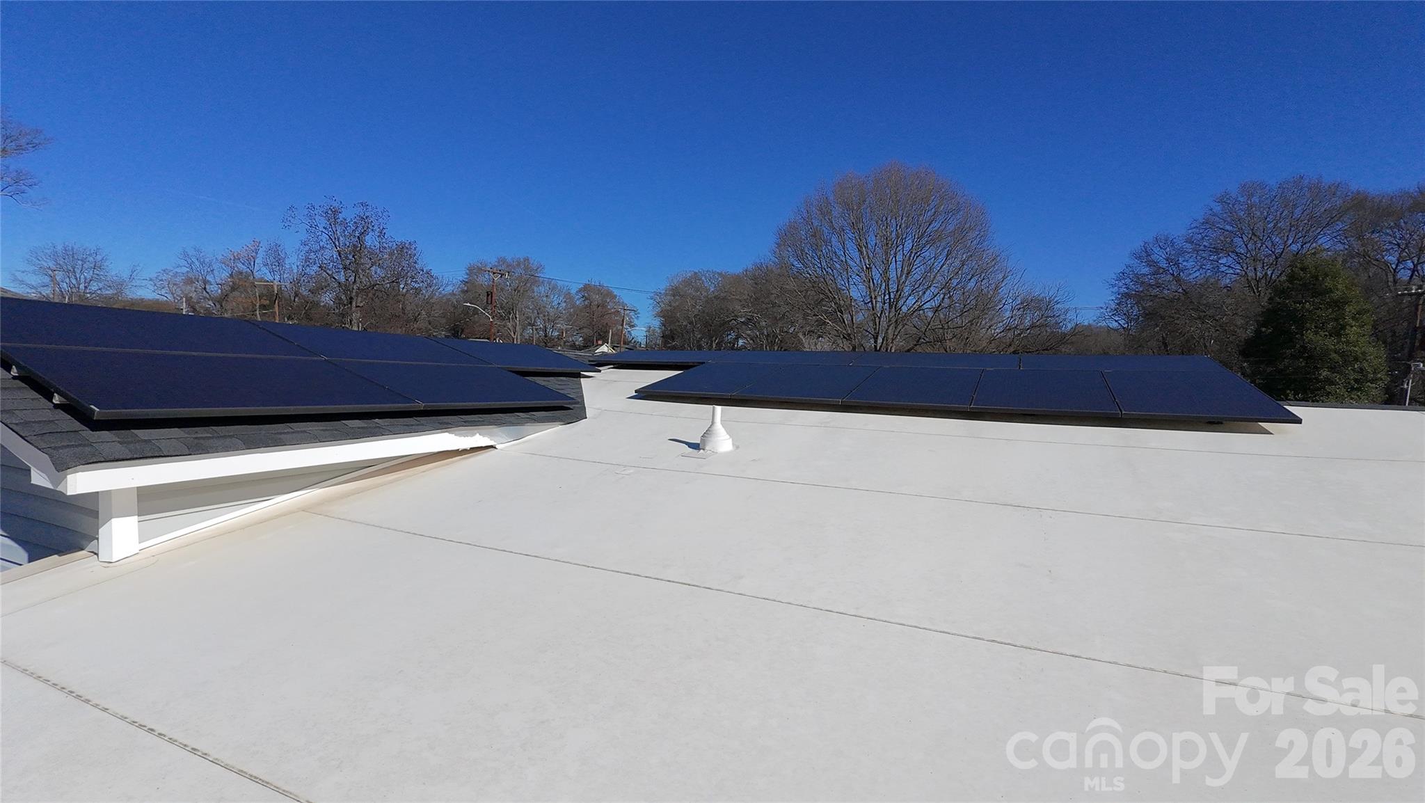 202 Williamson Street