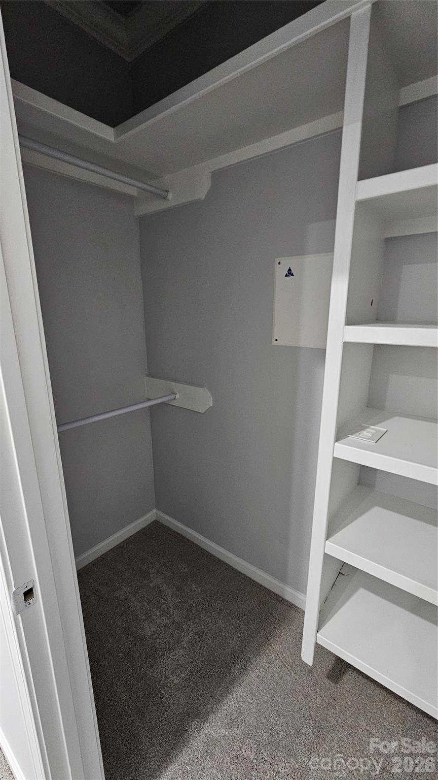 202 Williamson Street