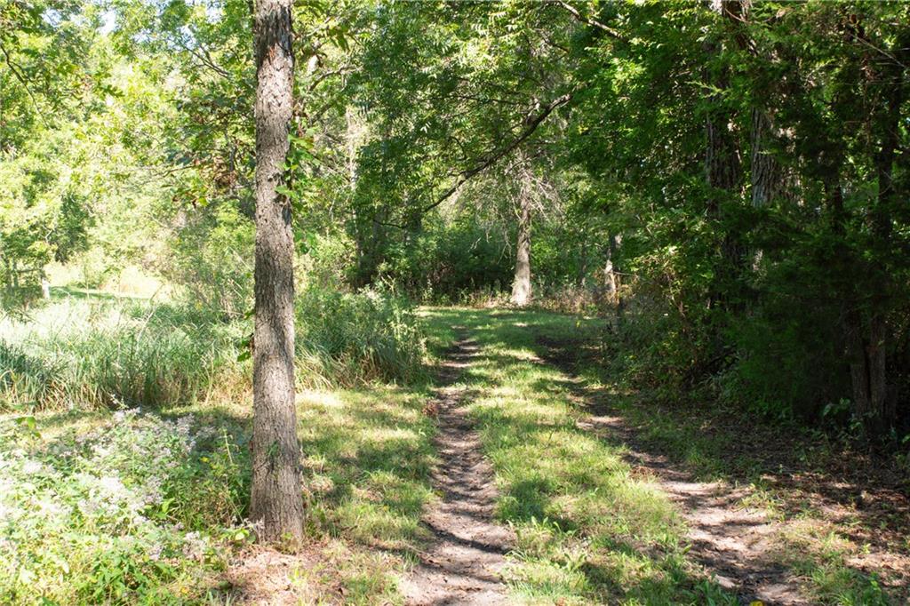 Wooded property with a dirt path winding beneath mature trees and dense foliage.