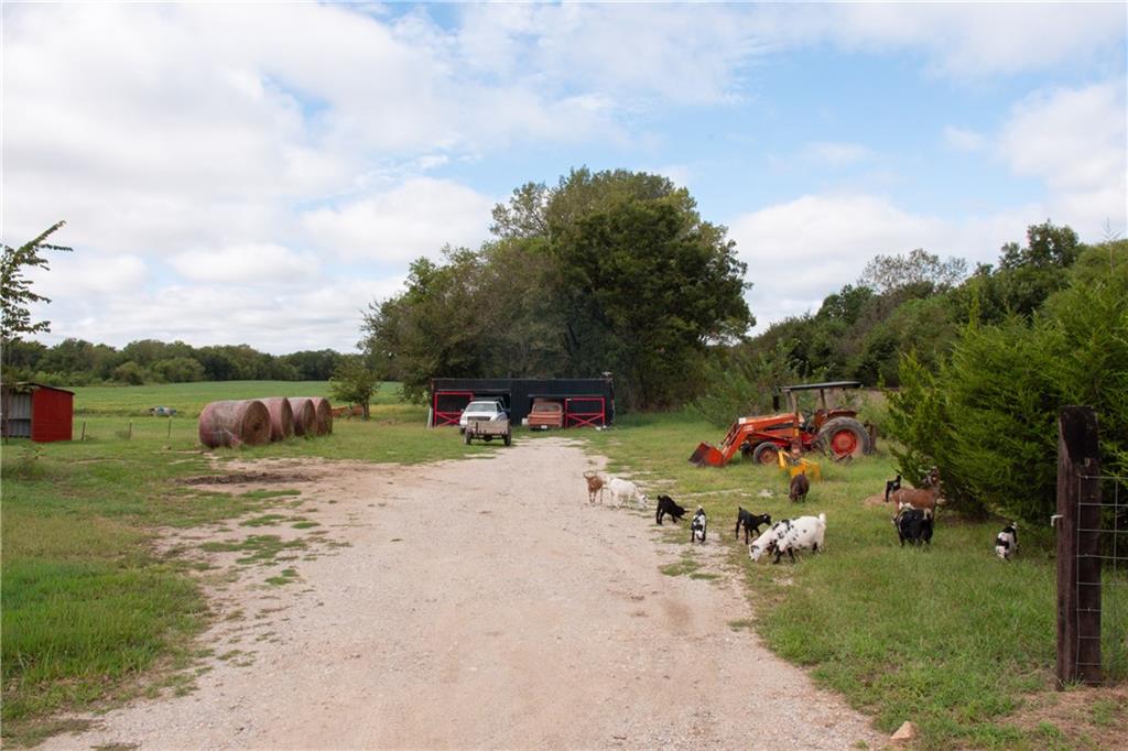 Rural farmyard with goats beside a tractor, hay bales, and outbuildings.