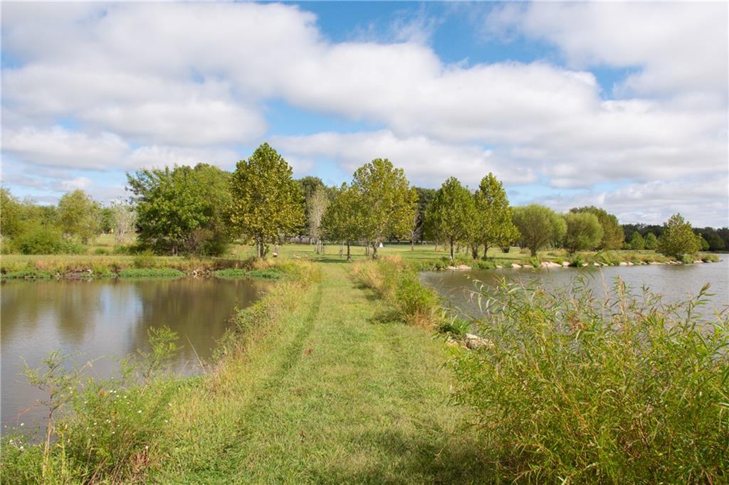 Landscaped property with a grassy path between two ponds and mature trees.