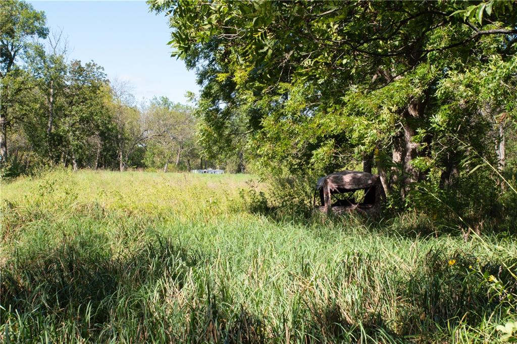 Overgrown grassy field bordered by mature trees, with a weathered structure beneath the trees.