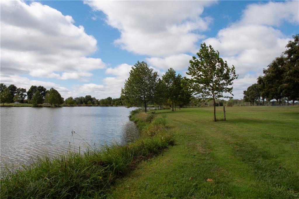 Grassy pond bank with mature trees and open lawn.