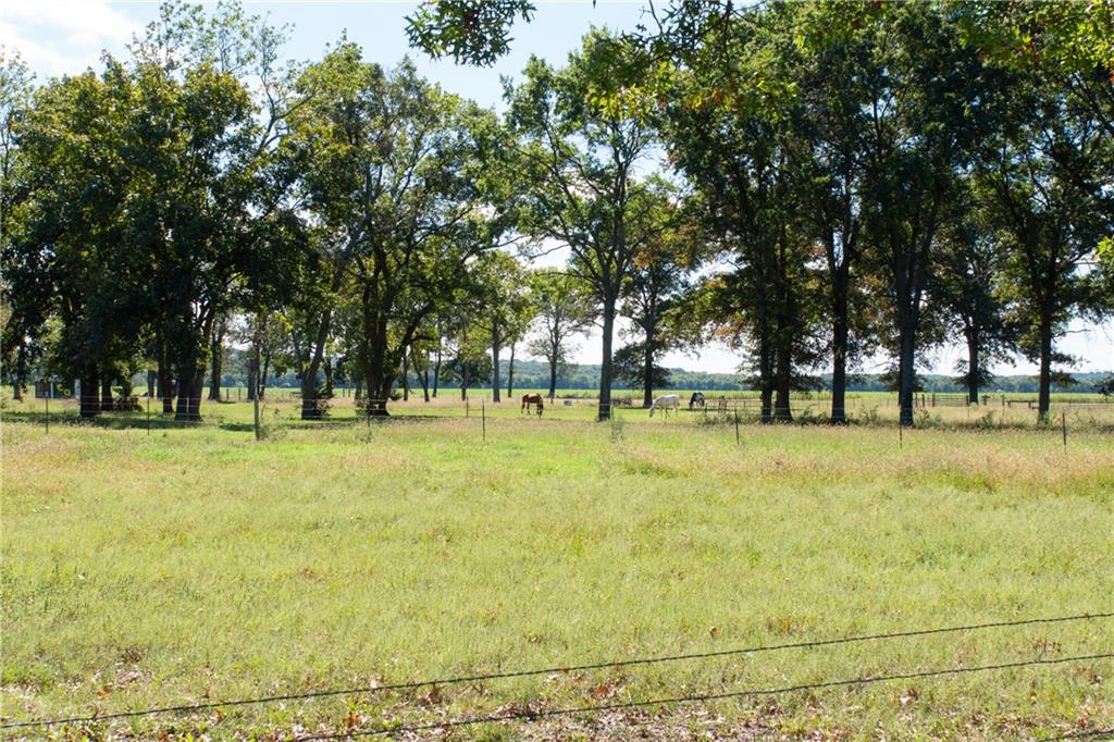 Grassy pasture with horses grazing beneath mature trees behind a wire fence.
