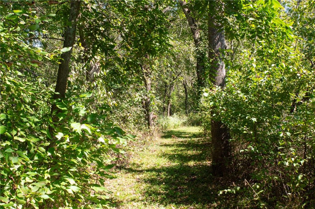 Wooded property path bordered by mature trees and dense greenery.