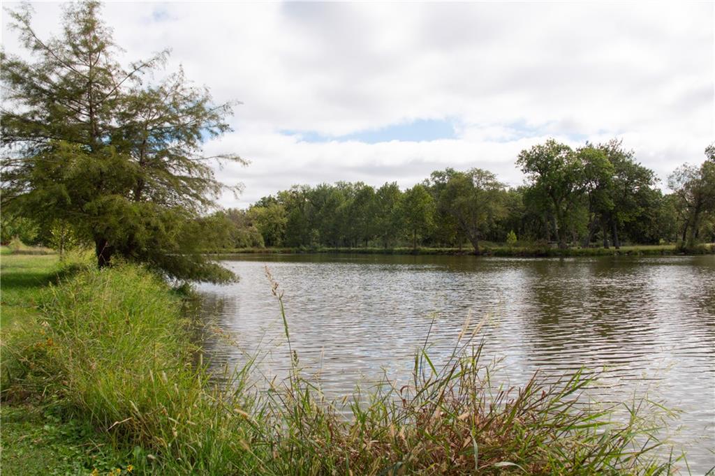 Pond bordered by tall grasses and mature trees along the shoreline.