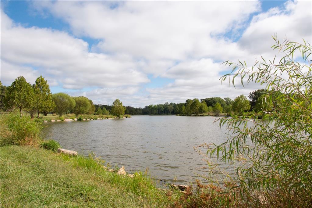 Pond bordered by grassy banks and trees, with leafy branches framing the water.