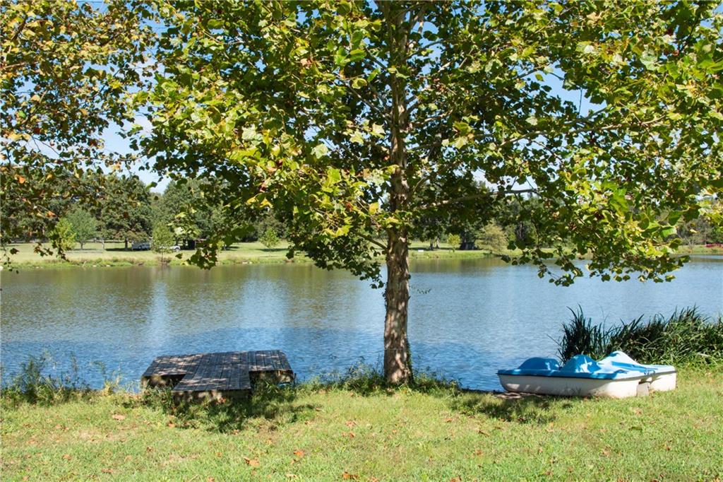 Lakeside yard with a leafy tree, wooden dock, and paddle boat beside the water.