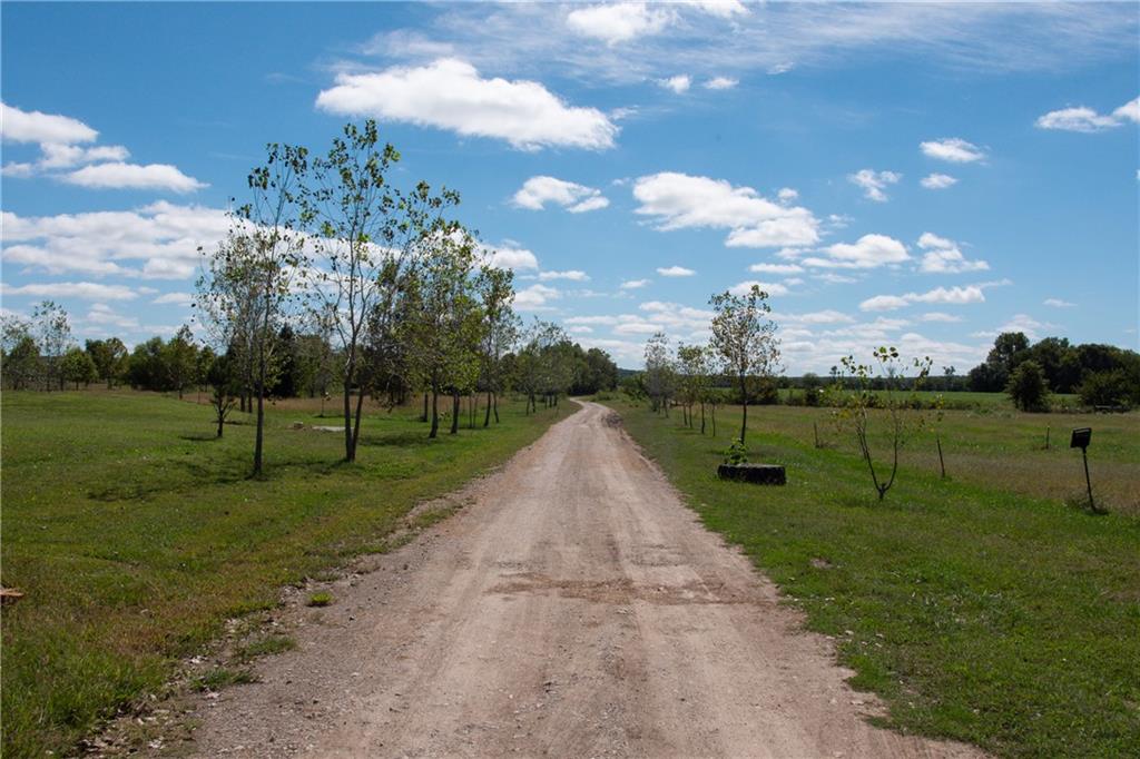 Gravel driveway winding through open grassy land dotted with young trees.