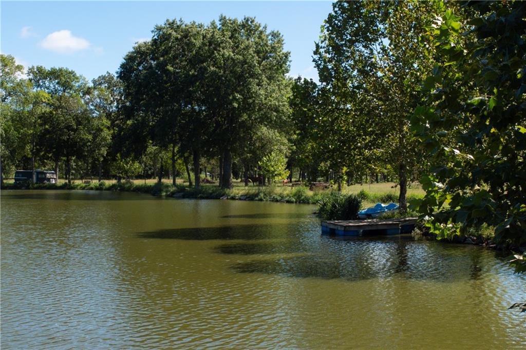 Tree-lined pond with a small floating dock and rippling water.