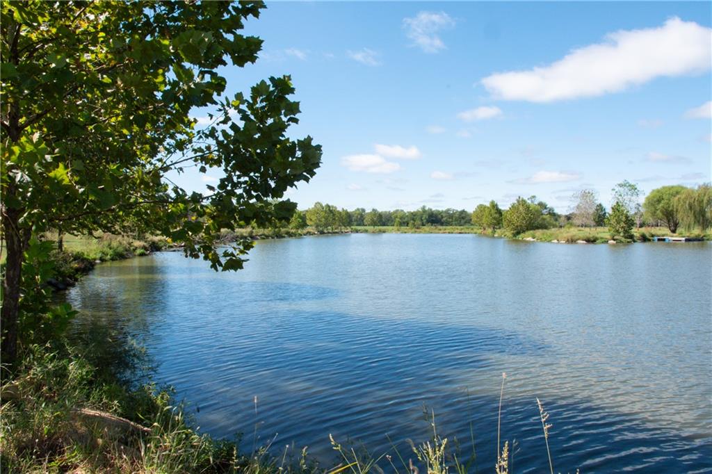 Pond bordered by trees, viewed from a leafy shore beneath a blue sky.