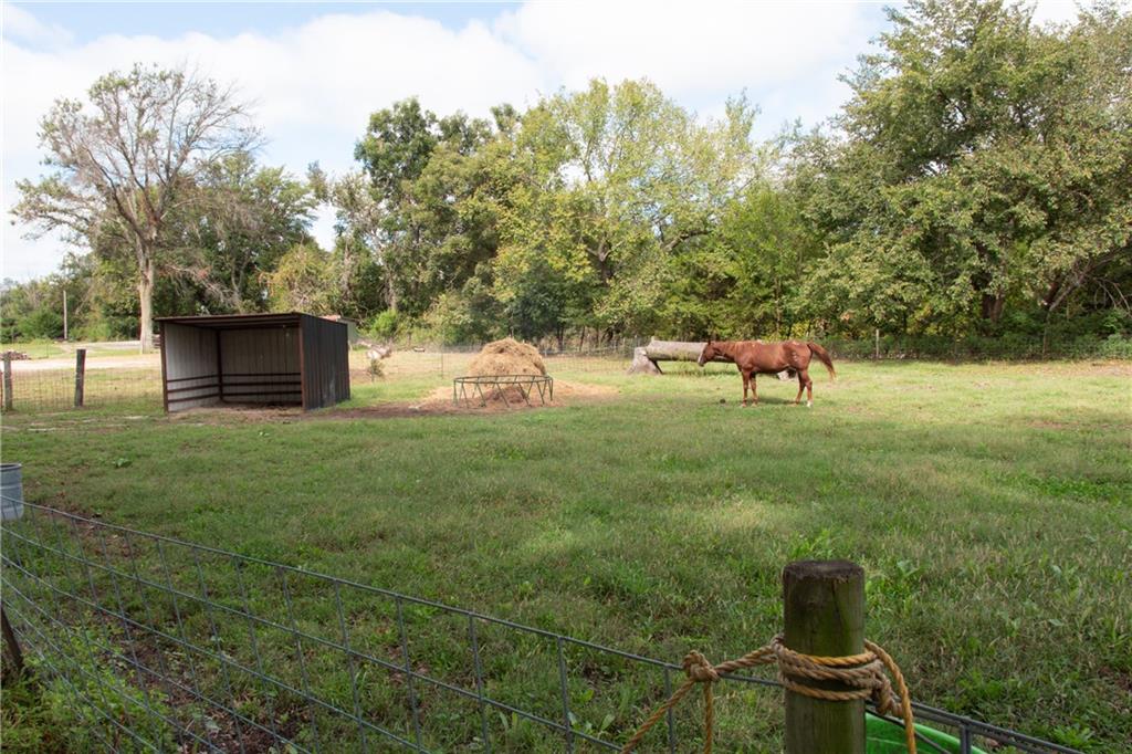 Fenced grassy paddock with a horse, metal shelter, and hay feeder.