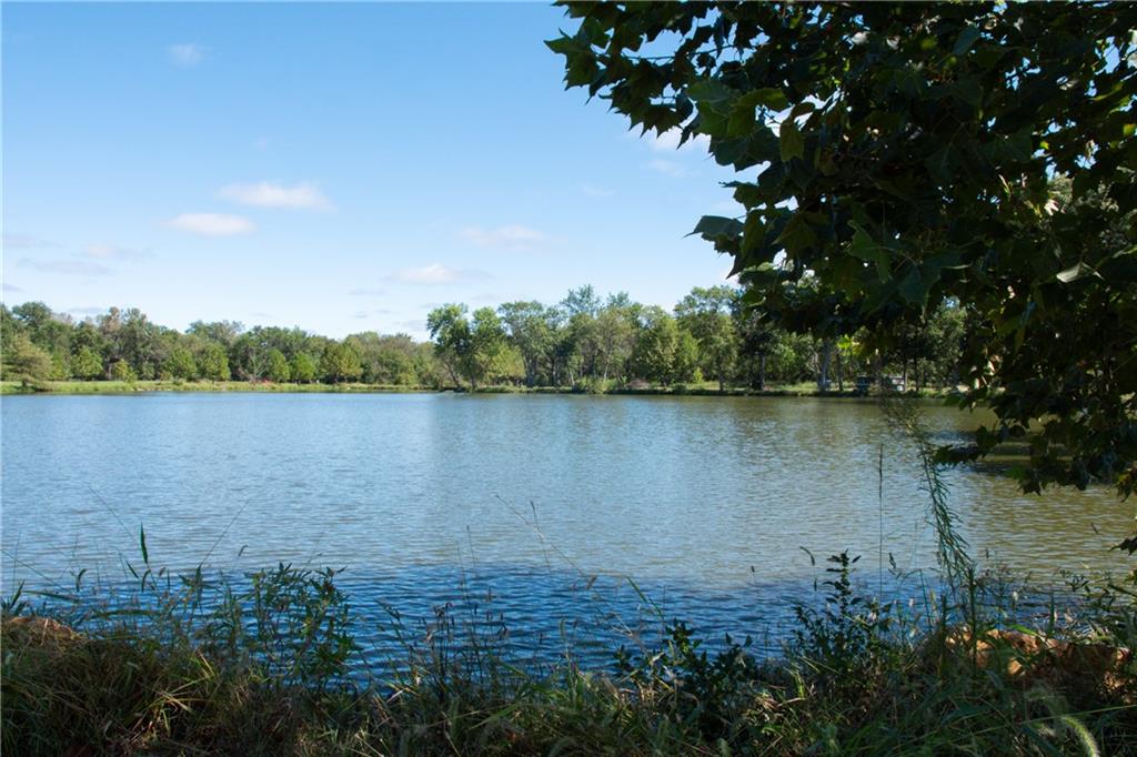 Lake with a tree-lined opposite shore and grasses along the near bank.