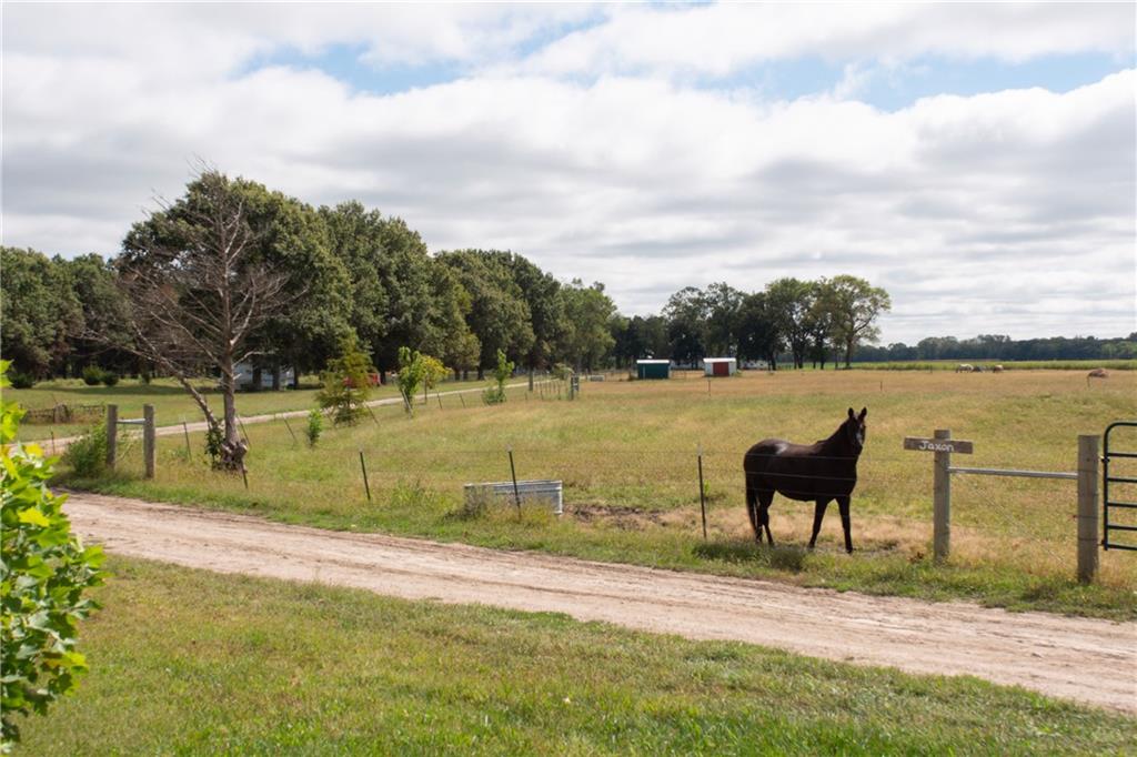 Fenced pasture with a dark horse beside a dirt driveway and scattered trees.