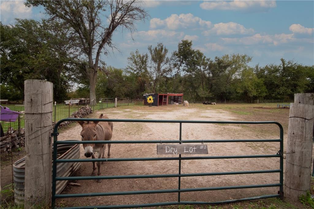 Fenced livestock paddock with a donkey behind a metal gate labeled “Dry Lot #1.”