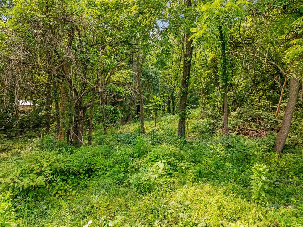 Wooded lot with mature trees, dense green undergrowth, and a small grassy clearing.