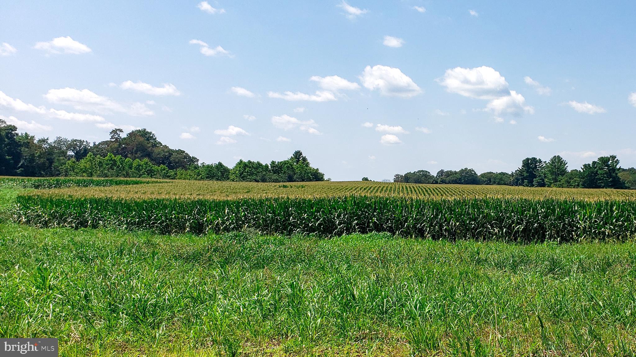 14628 OLD HANOVER ROAD RAINIER