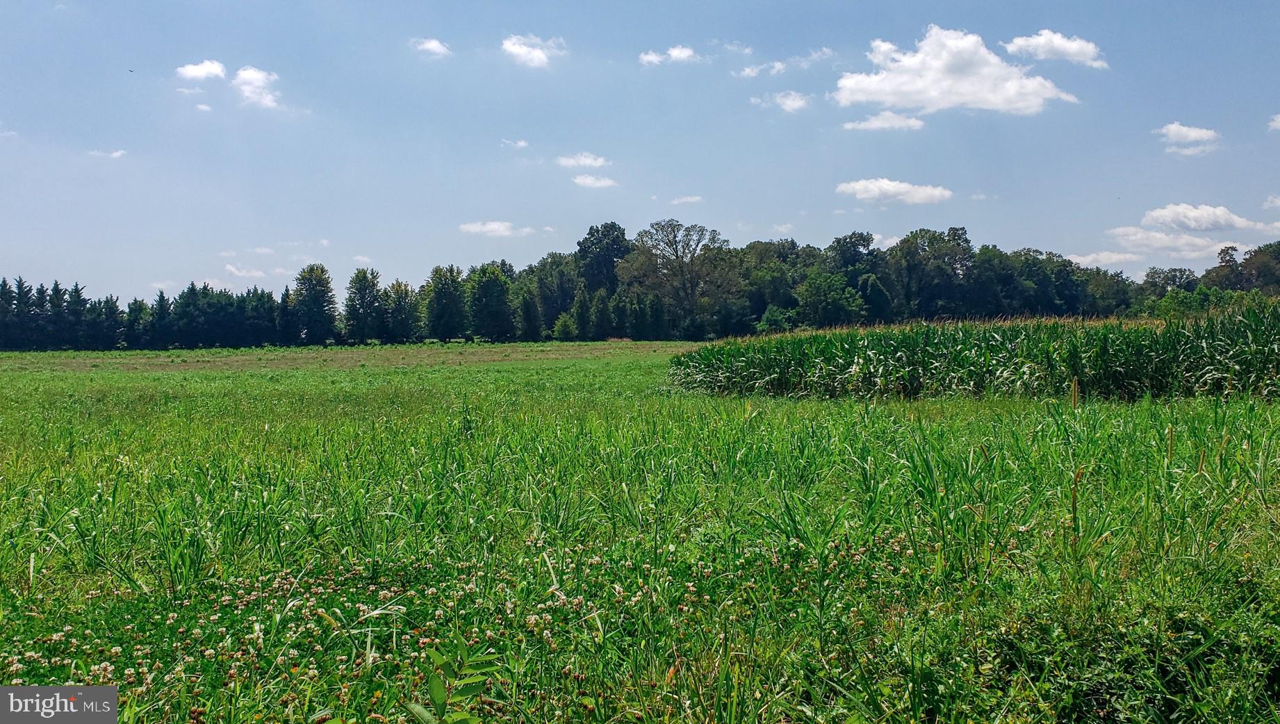 14628 OLD HANOVER ROAD BENTON