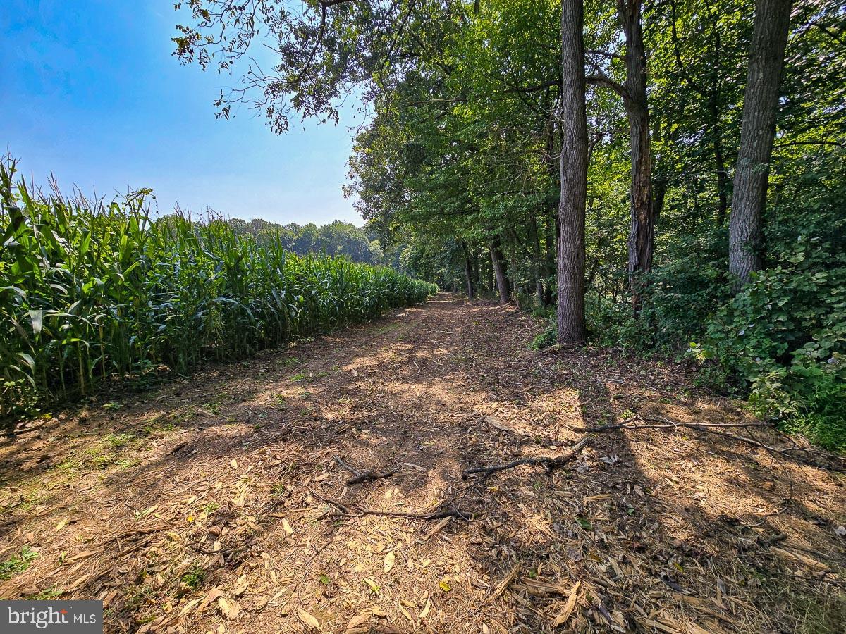 Lot 1 Cobblers Grv #Fieldstone
