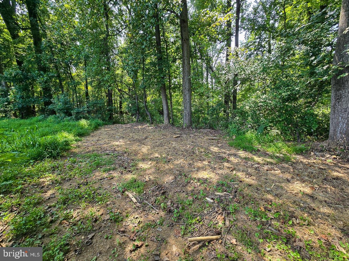 Lot 1 Cobblers Grv #Fieldstone